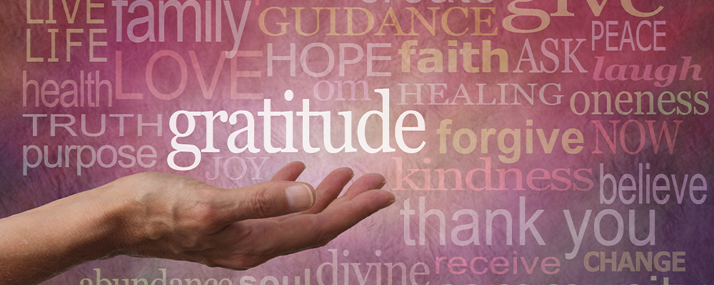 Reflections 11: What are you grateful for?