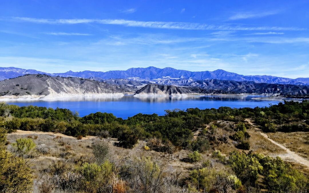 Reflections 21: Our Beautiful World!